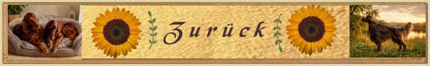 Zur&uuml;ck