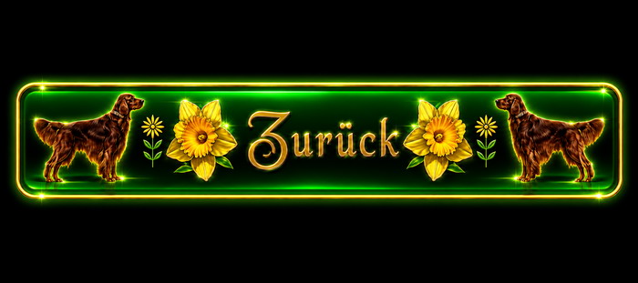 Zur&uuml;ck